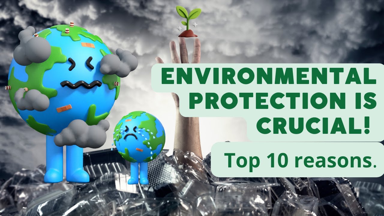 10 reasons why environmental protection is crucial!