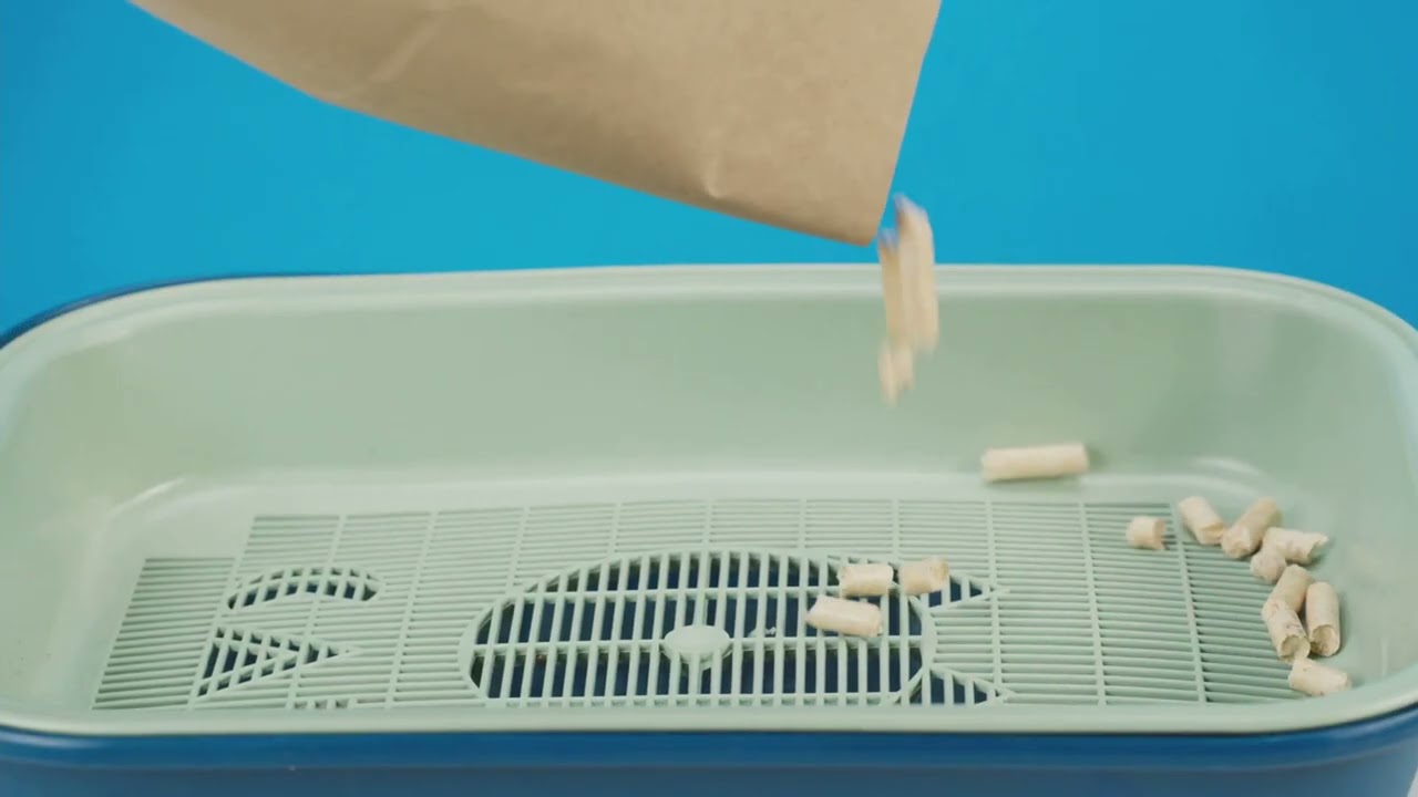 Why Litter Box Odor Builds Over Time.