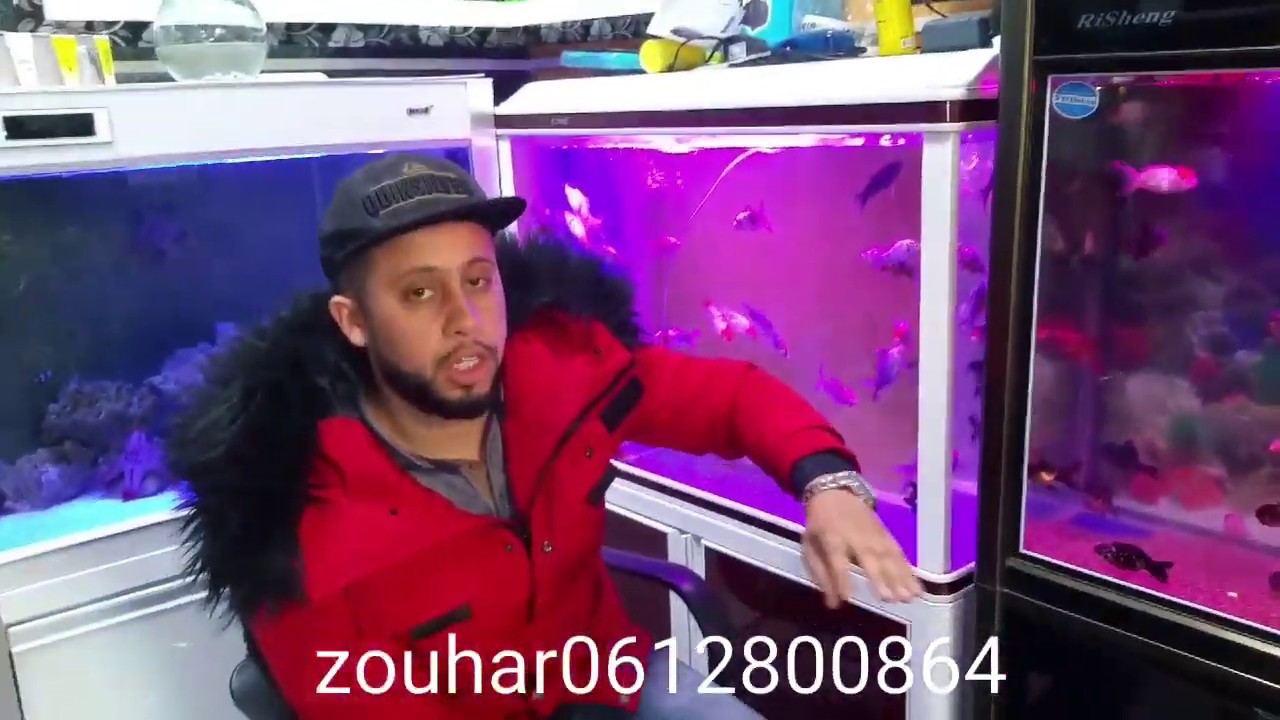 أحسن أنواع أسماك وبلام الكواريوم سوق العيون بالدارالبيضاء souk kriaa pour poissons