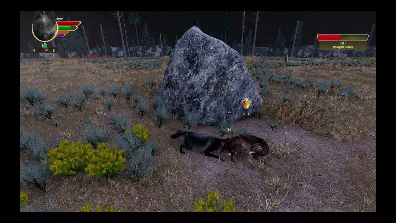 {|WolfQuestAE} Star's Journey| EP1 Claiming A Rival Pack
