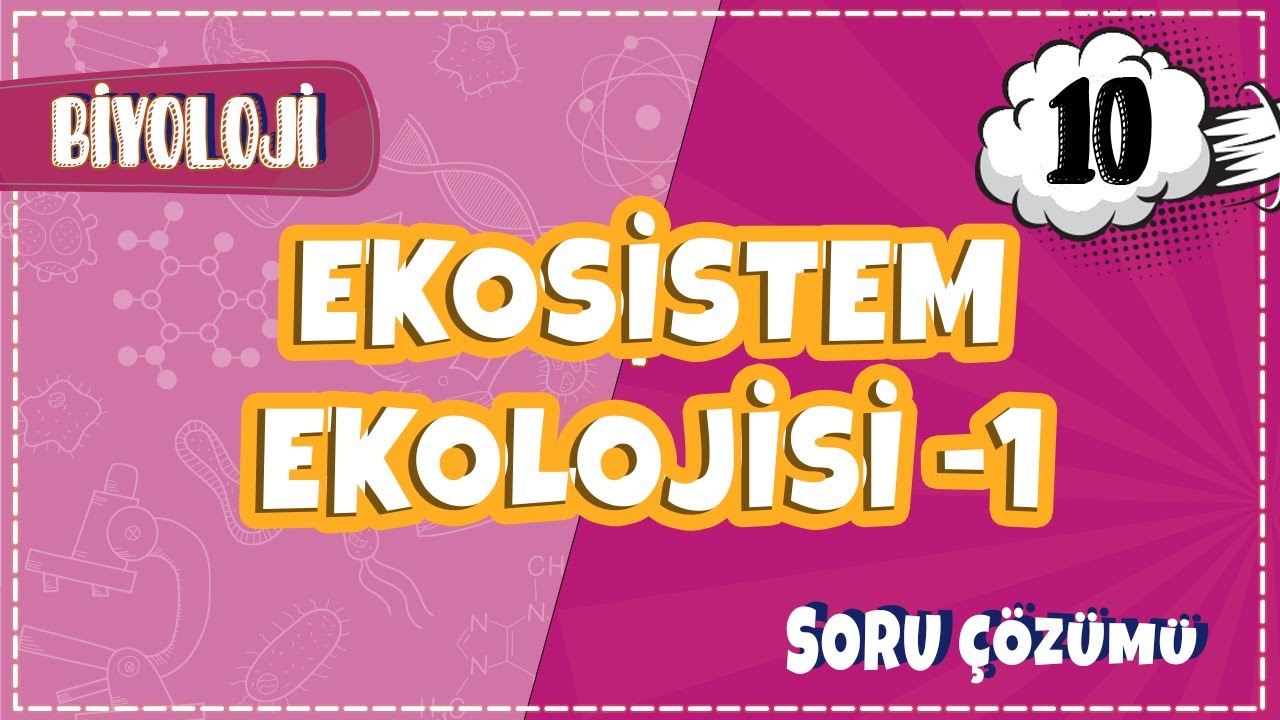 10. Sınıf Biyoloji - Ekosistem Ekolojisi -1 Soru Çözümleri  2022