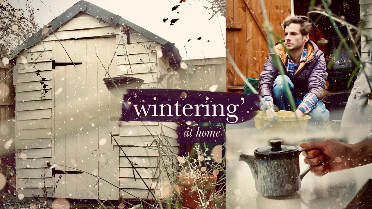 Cozy Wintering • Harvesting Herbs & Making Tea • Decluttering