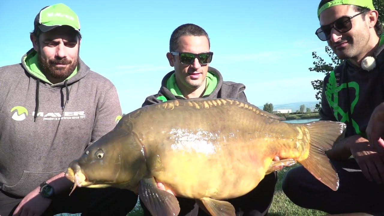 Carpfishing Autunnale part one