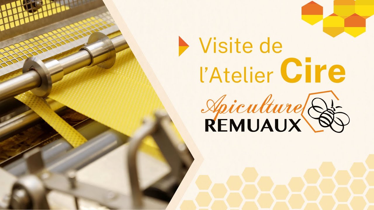 Visite de l'atelier cire Apiculture Remuaux