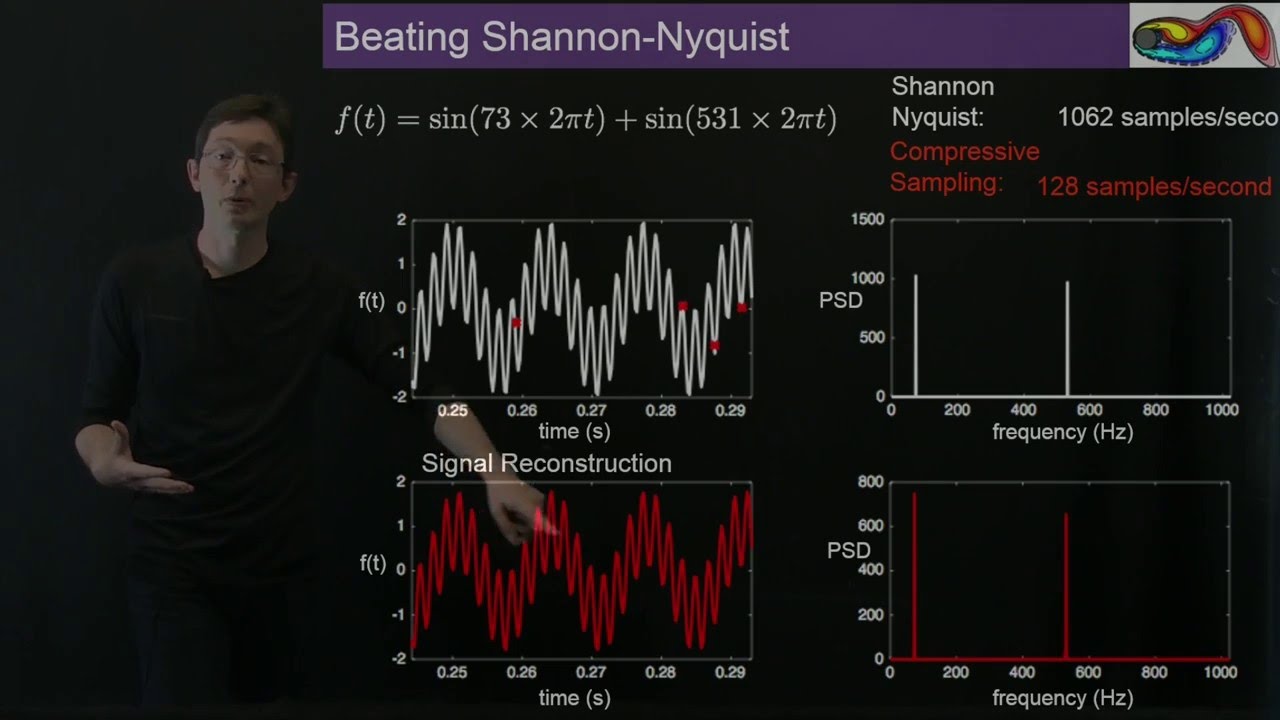 A Compressed Overview of Sparsity