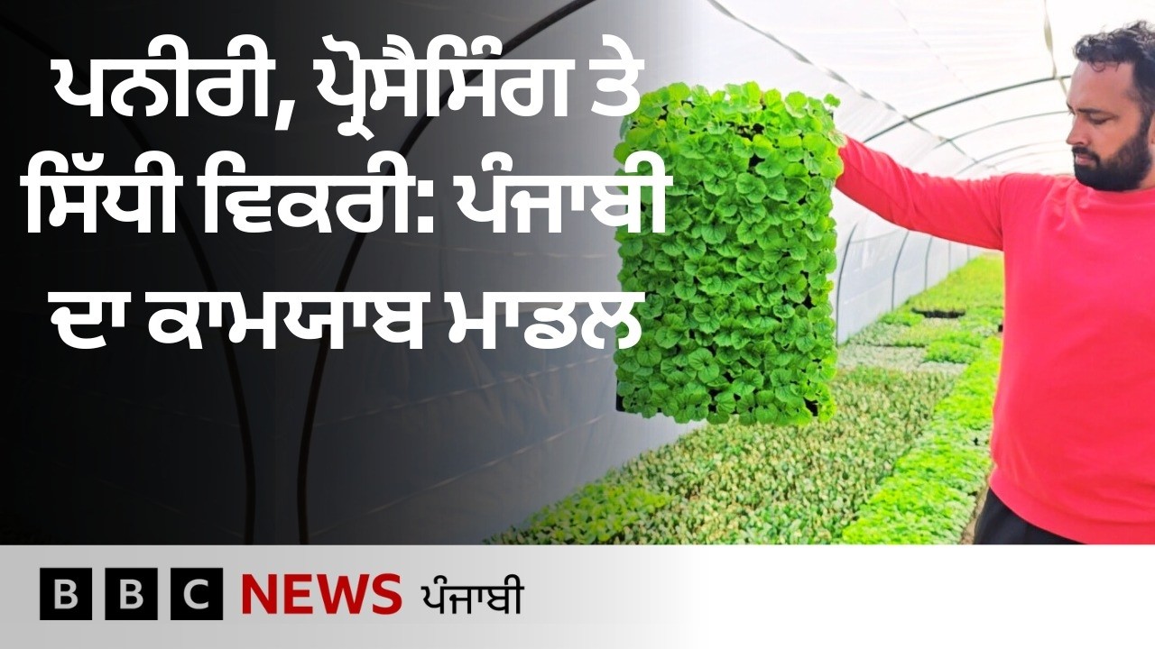 Agriculture: ਕਬੱਡੀ ਖਿਡਾਰੀ ਨੇ ਖੇਤੀਬਾੜੀ ਦੇ ਇਸ ਮਾਡਲ 'ਚ ਕਿਵੇਂ ਕਾਮਯਾਬੀ ਹਾਸਿਲ ਕੀਤੀ | 𝐁𝐁𝐂 𝐏𝐔𝐍𝐉𝐀𝐁𝐈