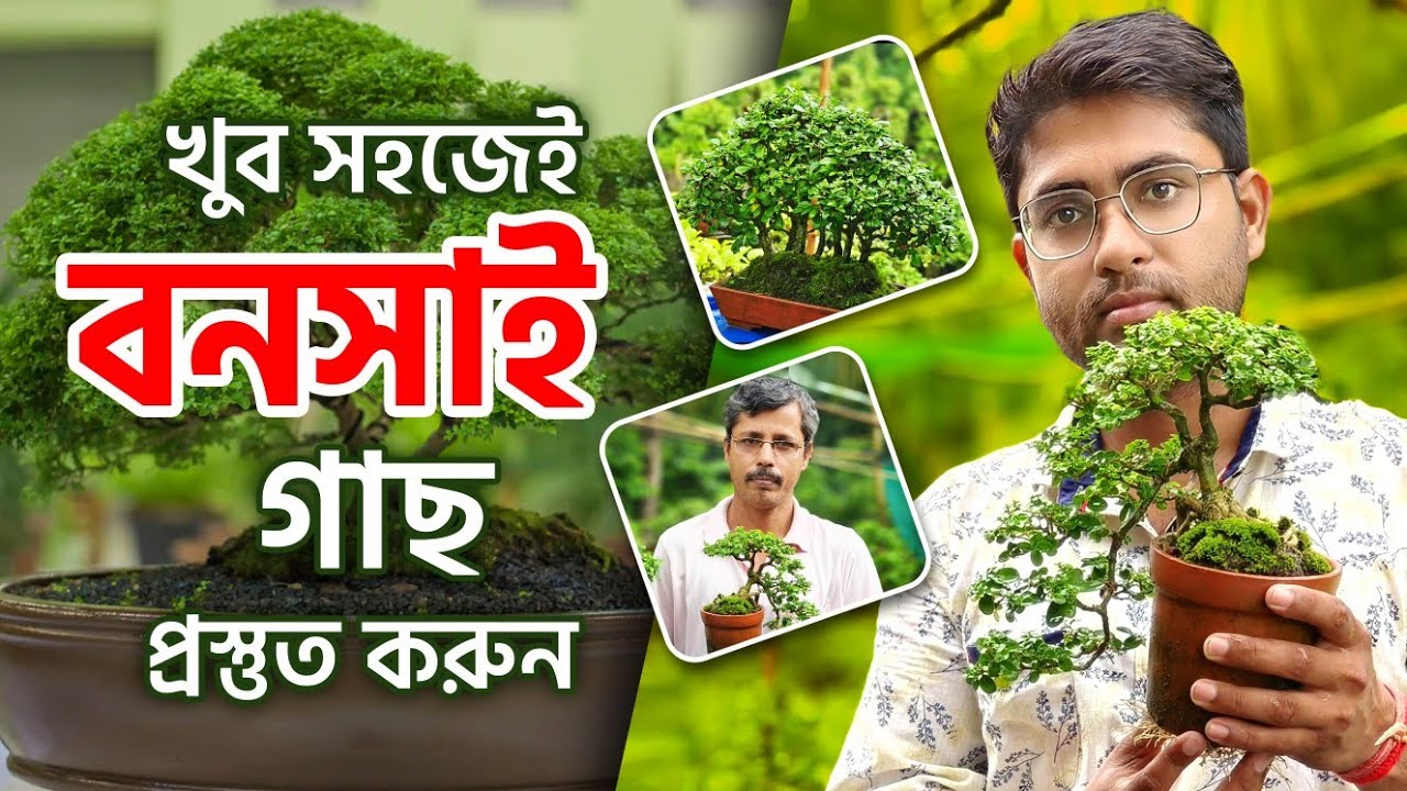 খুব সহজেই করুন বনসাই গাছ , মাটি প্রস্তুত থেকে চারা নির্বাচন|| Bonsai Expert Mahasin Khan #bonsai