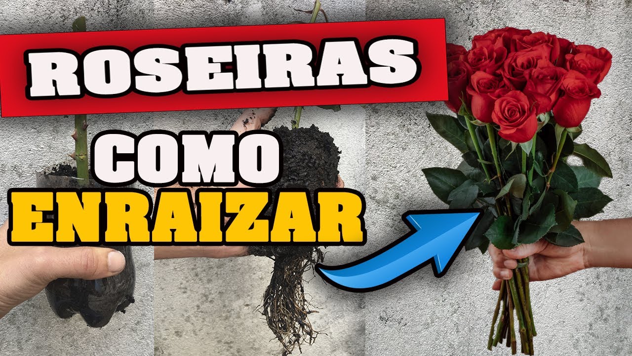 Como fazer MUDA de ROSAS. Nunca Falha.