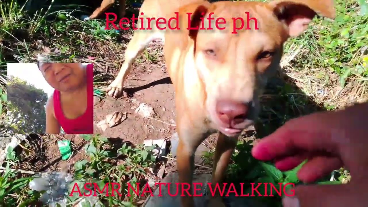 ASMR NATURE WALKING 02/26/26