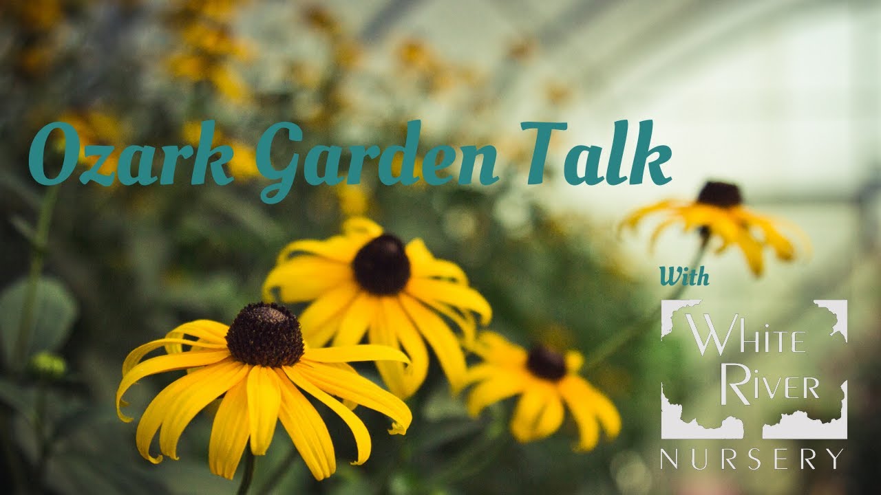 Ozark Garden Talk – Episode 7: Summer Gardening Questions Answered