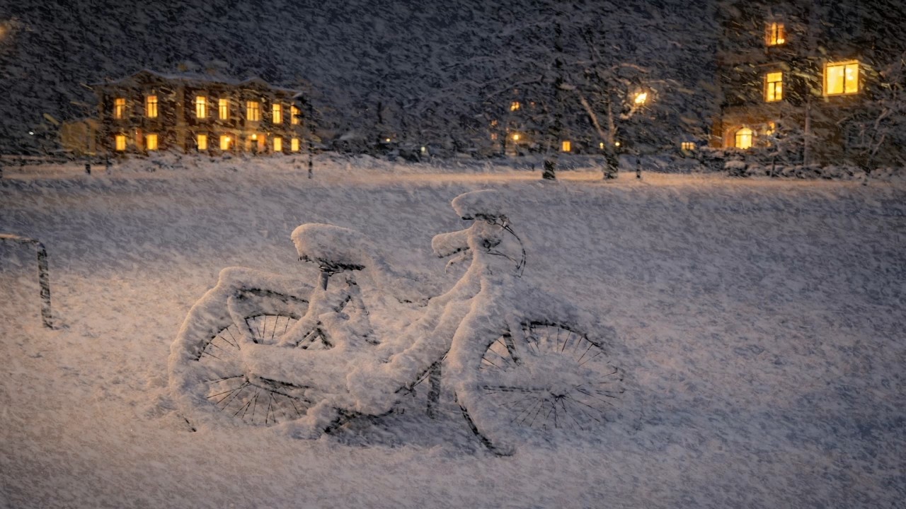 Powerful Blizzard Sounds for Deep Sleep - Blowing Snow Storm & Blizzard Sounds for Deep Relaxation