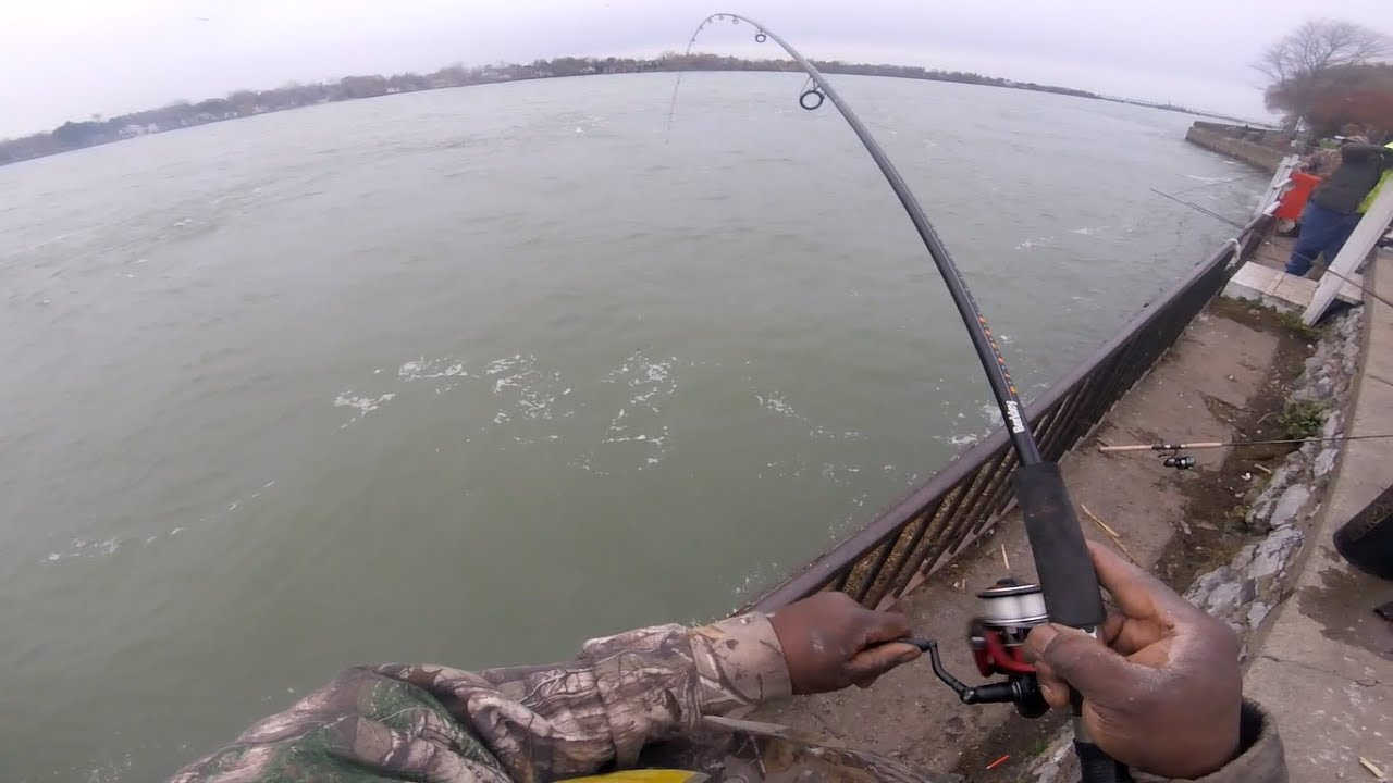 Buffalo Perch Killer catching Walleye
