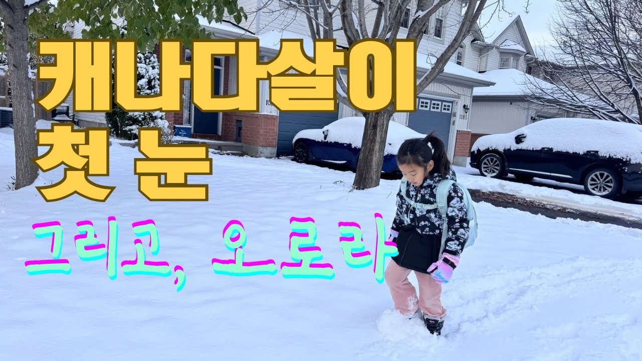 캐나다에서 맞는 첫 겨울의 시작 | 윈터타이어 교체 비용
