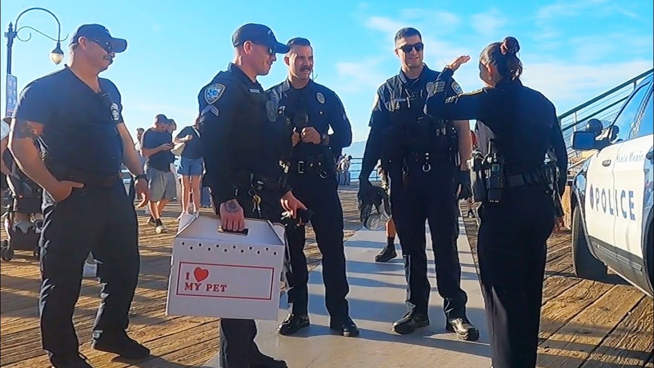 POLICE ACTION: Homeless Threaten Performer, Woman Collapses, Arrest Warrant, Large Rat