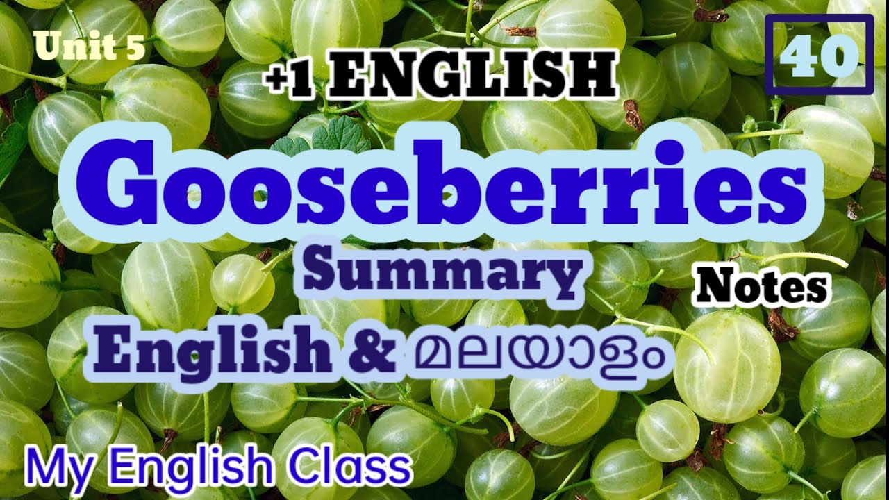 Gooseberries summary in Malyalam| Plus one English chapter summary in Malyalam| summary notes| exam