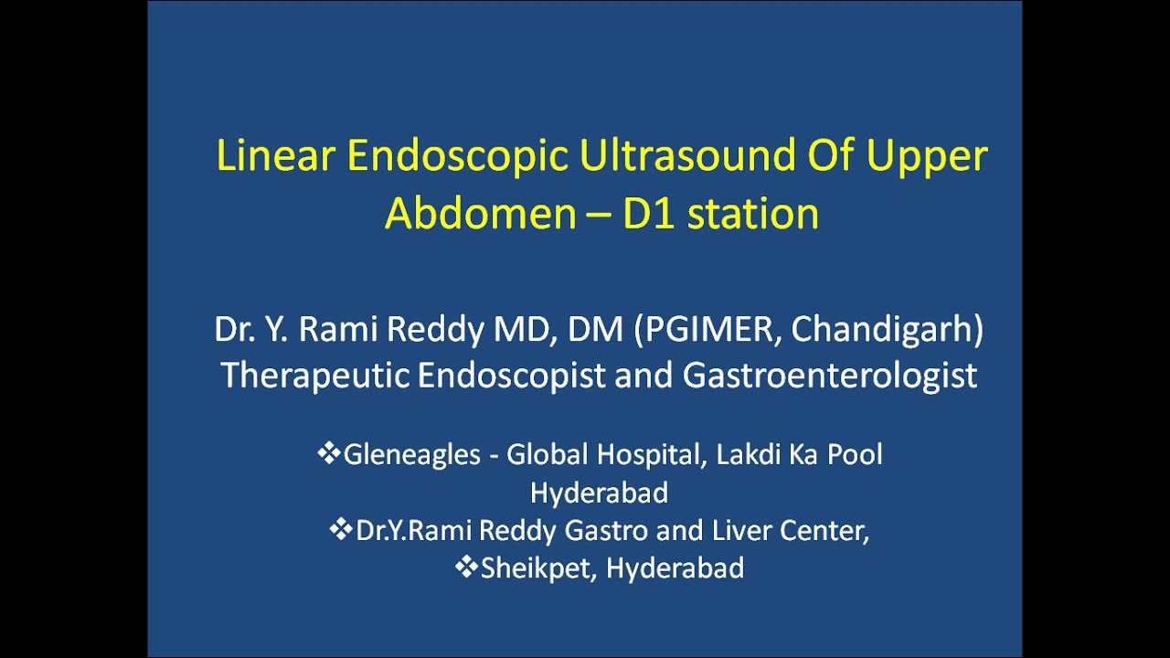 Linear Endoscopic ultrasound examination from D1 station