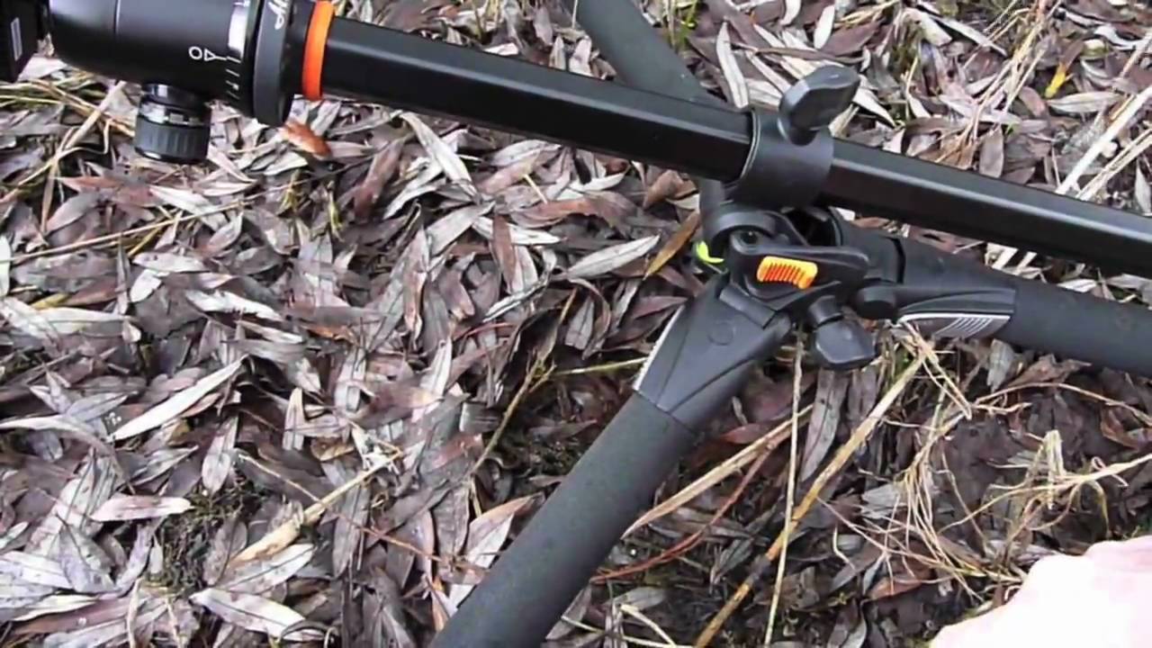 Stativ Vanguard Alta Pro 263 AT Erfahrungsbericht