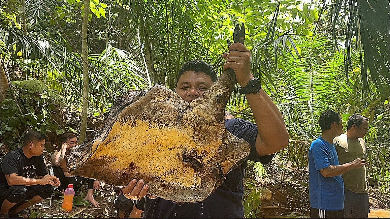 Dapat seekor Babi riuh sekampung, keluarga dayak Camping ditepi sungai sambil masak babi sup terjun
