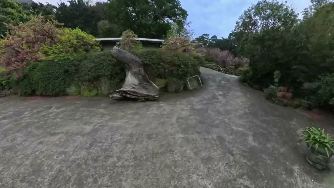 BESV GoGoGo 無極天元宮 走春賞花