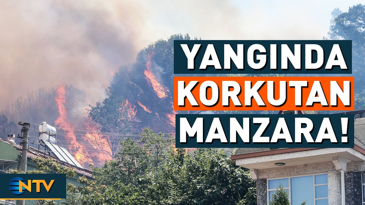 Alevler Evlere Ulaştı! Bursa'da Korkutan Manzara | NTV