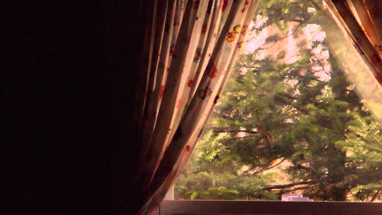Cabin in the Burn - Evening Hymns
