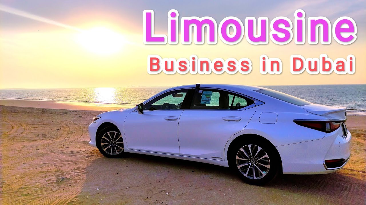 Limousine Business in Dubai. #limousine #dubailife লিমুজিন বিজনেস।