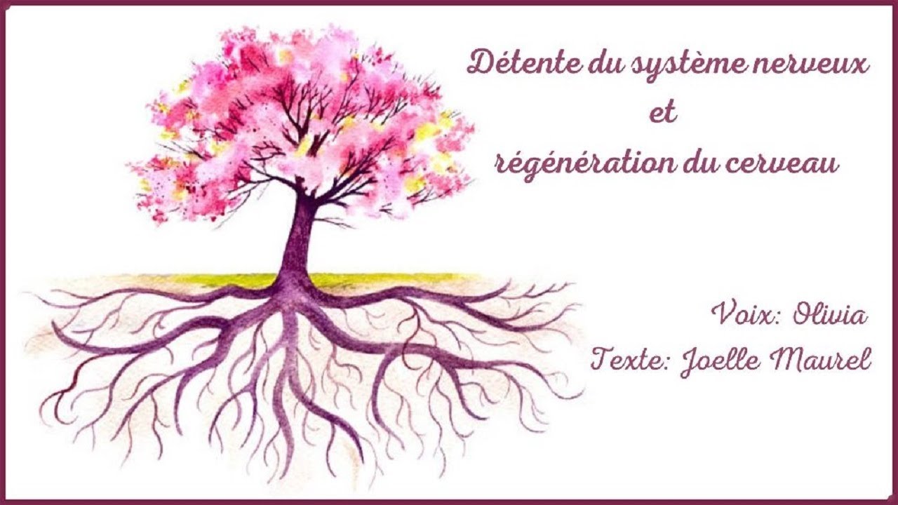 🌸 (Version longue) Méditation guidée - Détente du système nerveux et régénération du cerveau