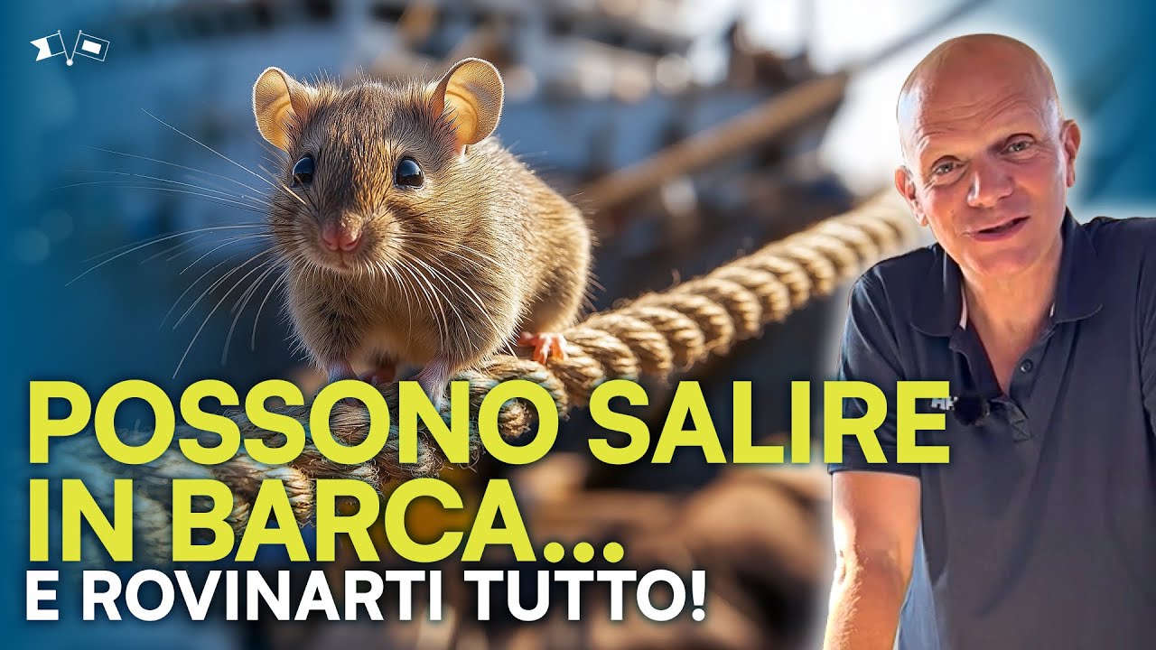 TOPI A BORDO? Ecco cosa devi sapere prima che sia troppo tardi! ❌🐭