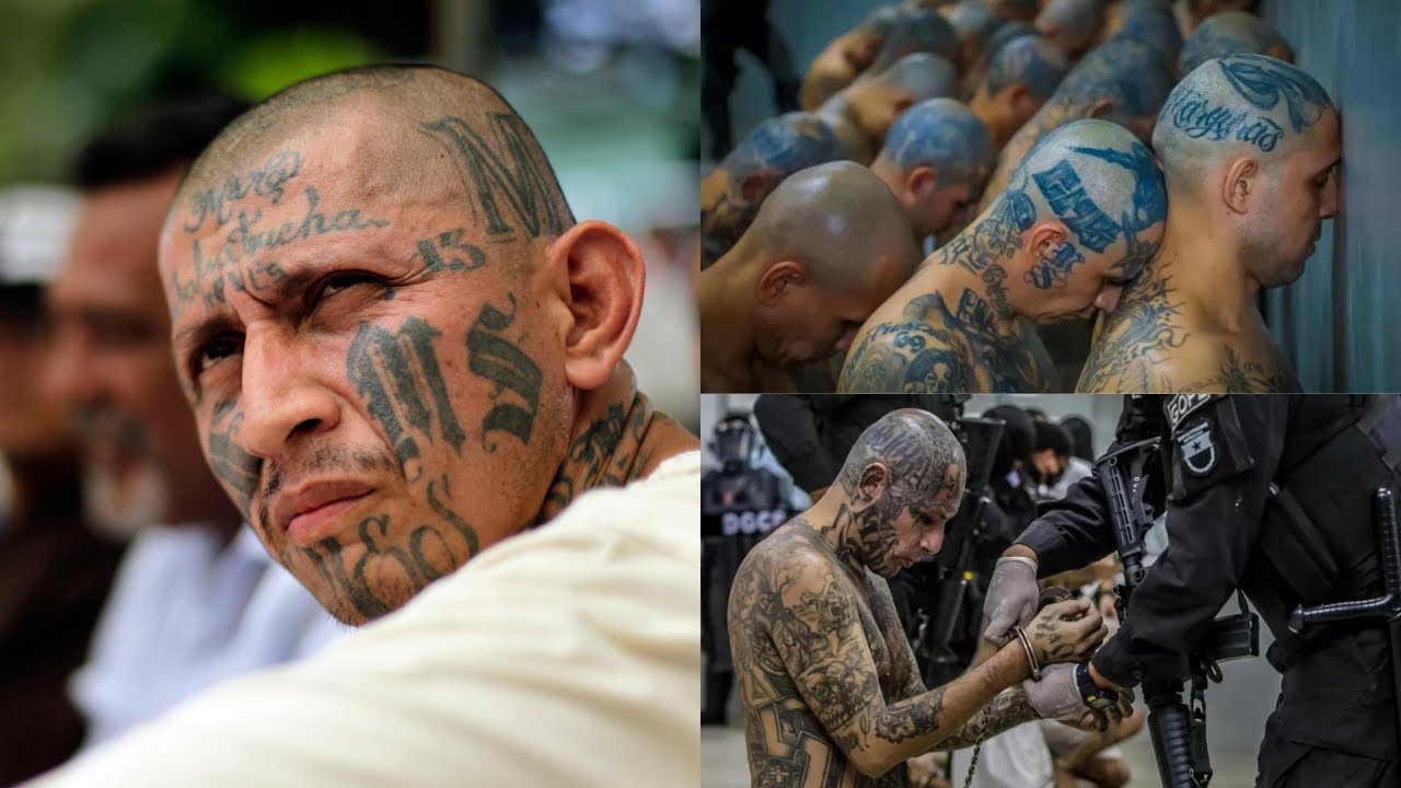Uhalifu, Mauaji na Ubabe wa MS-13: Genge hatari la Kimafia linaloisumbua serikali ya El-Salvado