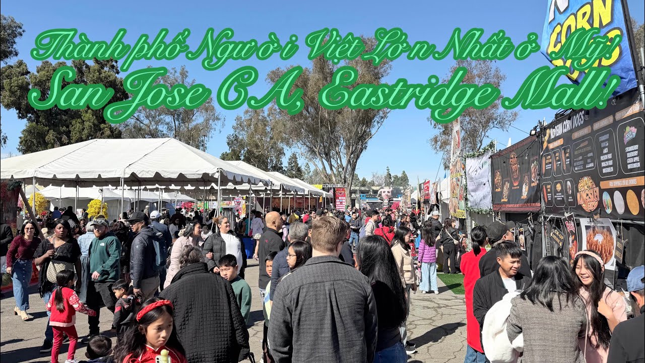 Hội Chợ Tết ở Mỹ Trong Khu Người Việt Lớn Nhất ở Thành Phố San Jose Bắc Cali! Cuộc Sống ở Mỹ!