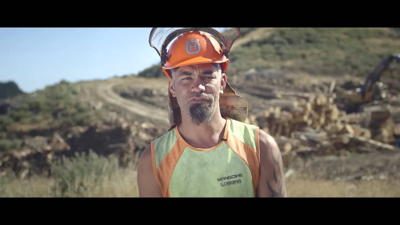 Meet Arnold - Tree Faller - Safetree&trade;