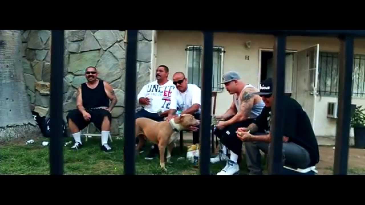 Lil Sicko - Who The Fuck Told The Fedz - Official Music Video