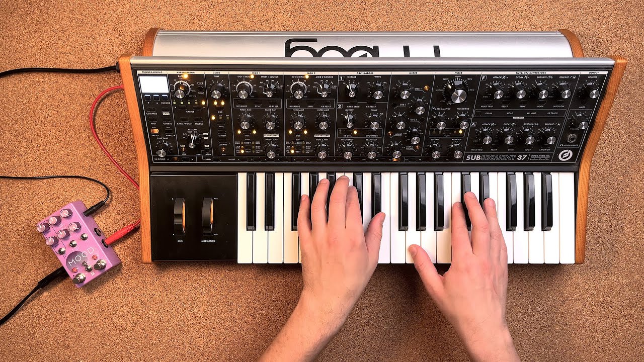 Moog Subsequent 37 + Chase Bliss Mood MK2 // Randomised Arpeggios