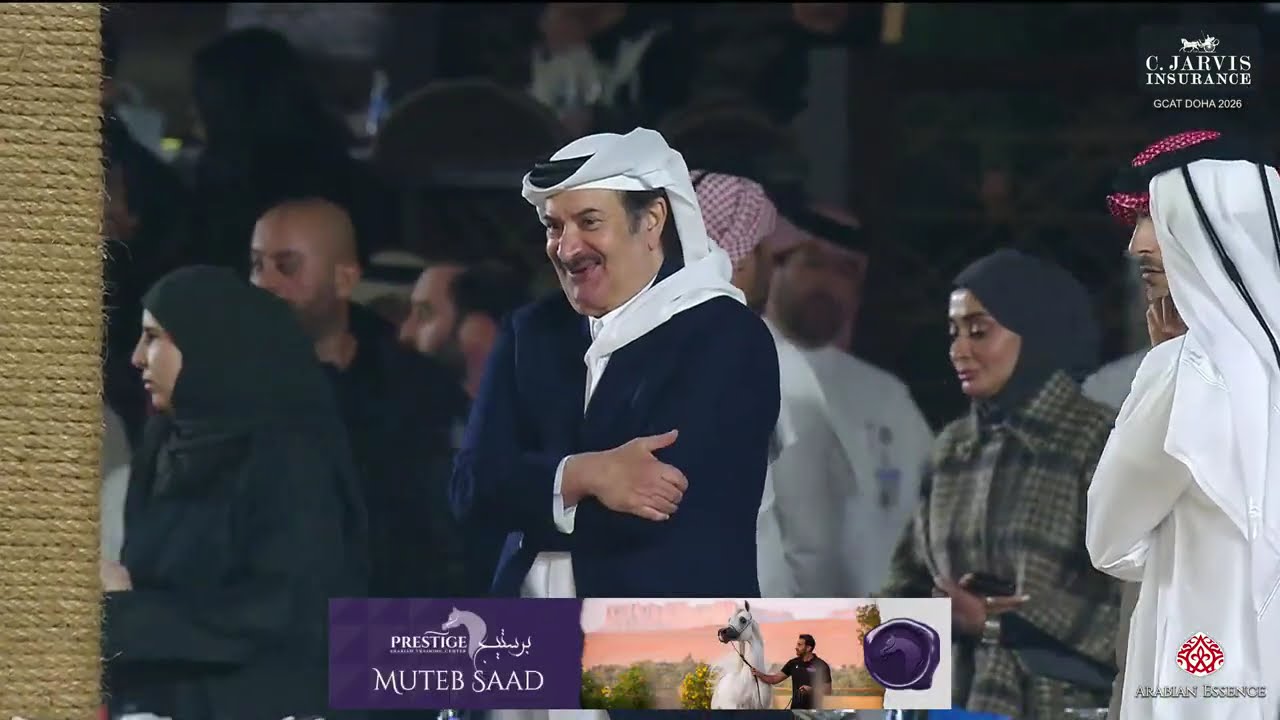 GCAT DOHA 2026   Class   Senior Mares Championship
