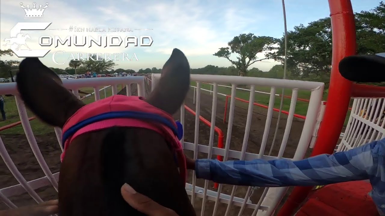 Toñita C. Tlapacoyan. Jockey Cam: Samuel Murillo.