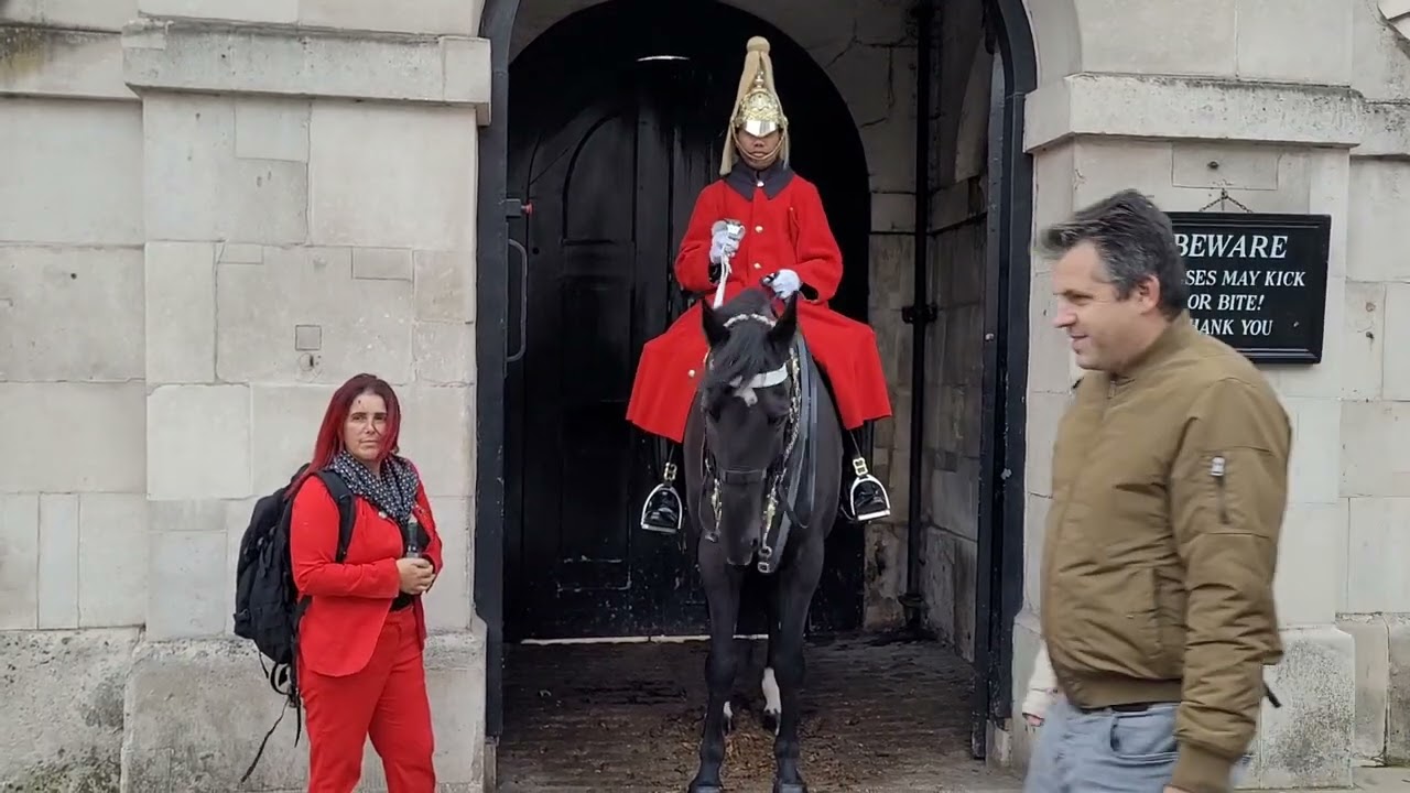 You have no respect tourist telling of Karen Her first time at horse guards  #horseguardsparade