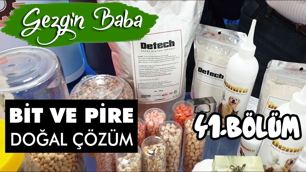 Diatomik Toprak | Hayvanlarda Bit Nasıl Temizlenir | Tavuk Akarı İlacı | Gezgin Baba | 41.Bölüm