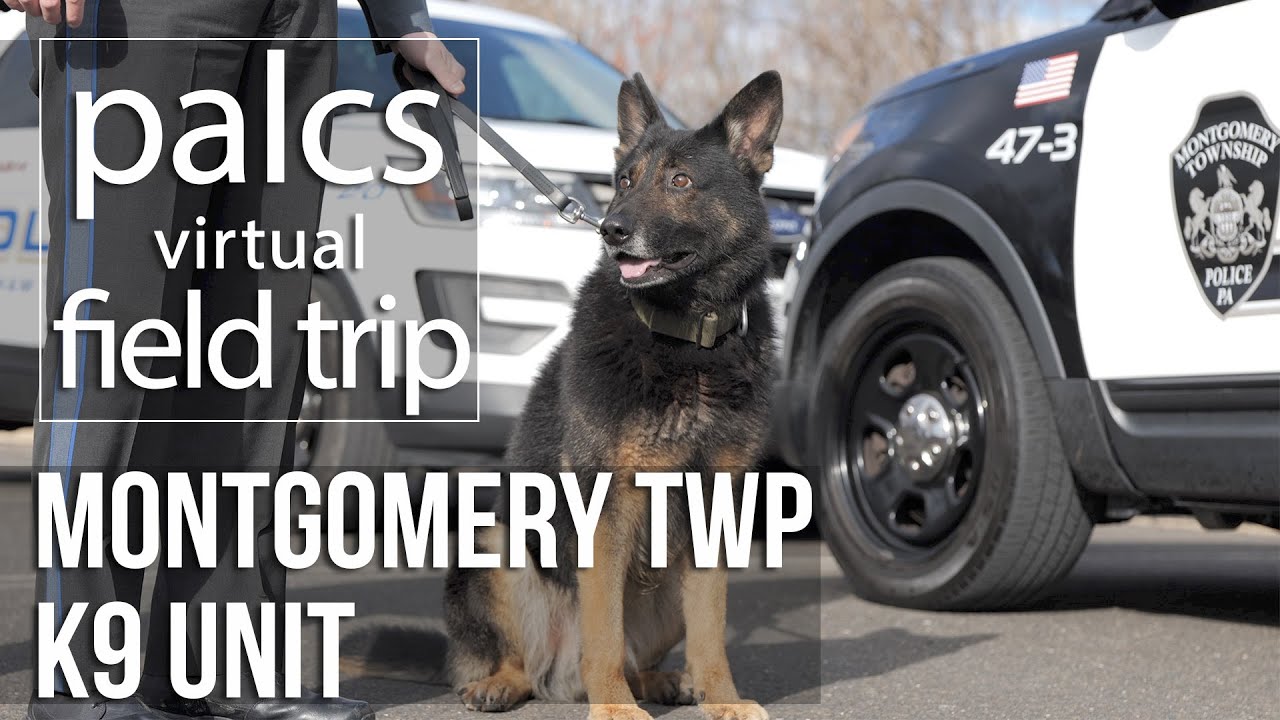 PALCS Presents - A Virtual Field Trip: The Montgomery Township K9 Unit