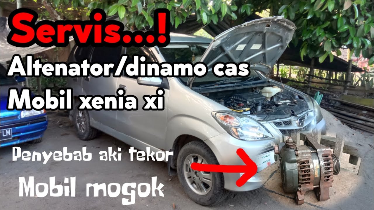 servis dinamo cas xenia xi