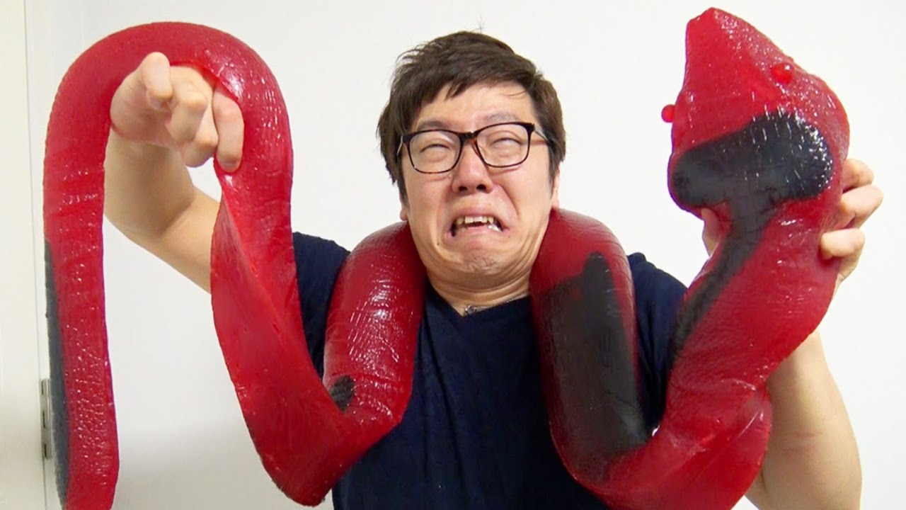 【世界最大!?】超巨大ヘビグミ食べてみた！