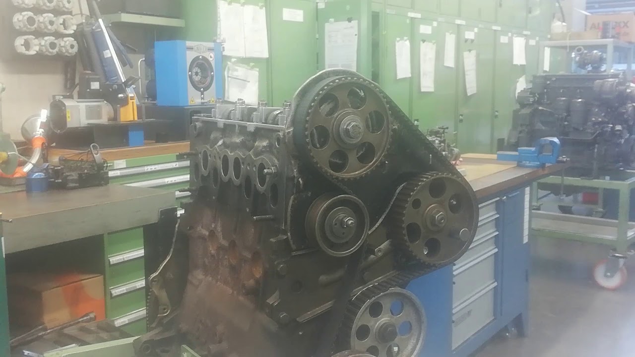 Zahnriemen montieren am VW Motor