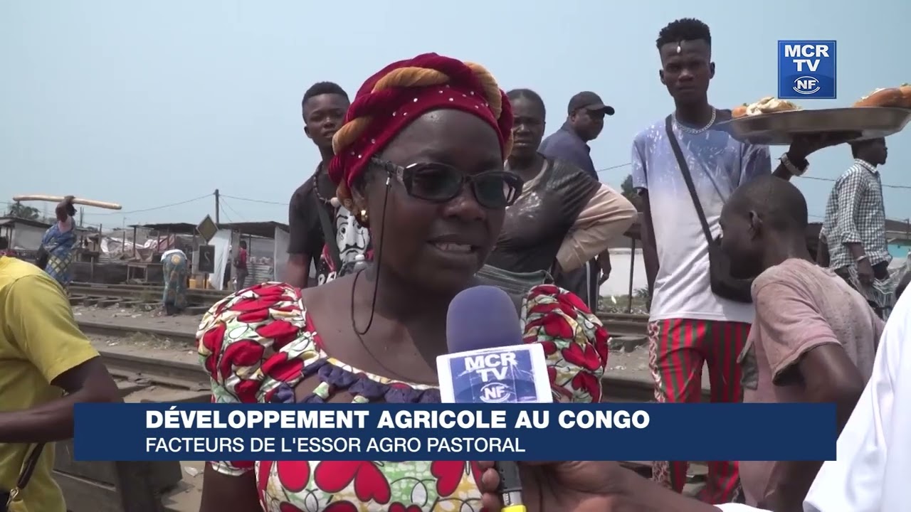 D&eacute;veloppement de l&rsquo;agriculture au Congo : facteurs de l&rsquo;essor du secteur agro pastoral
