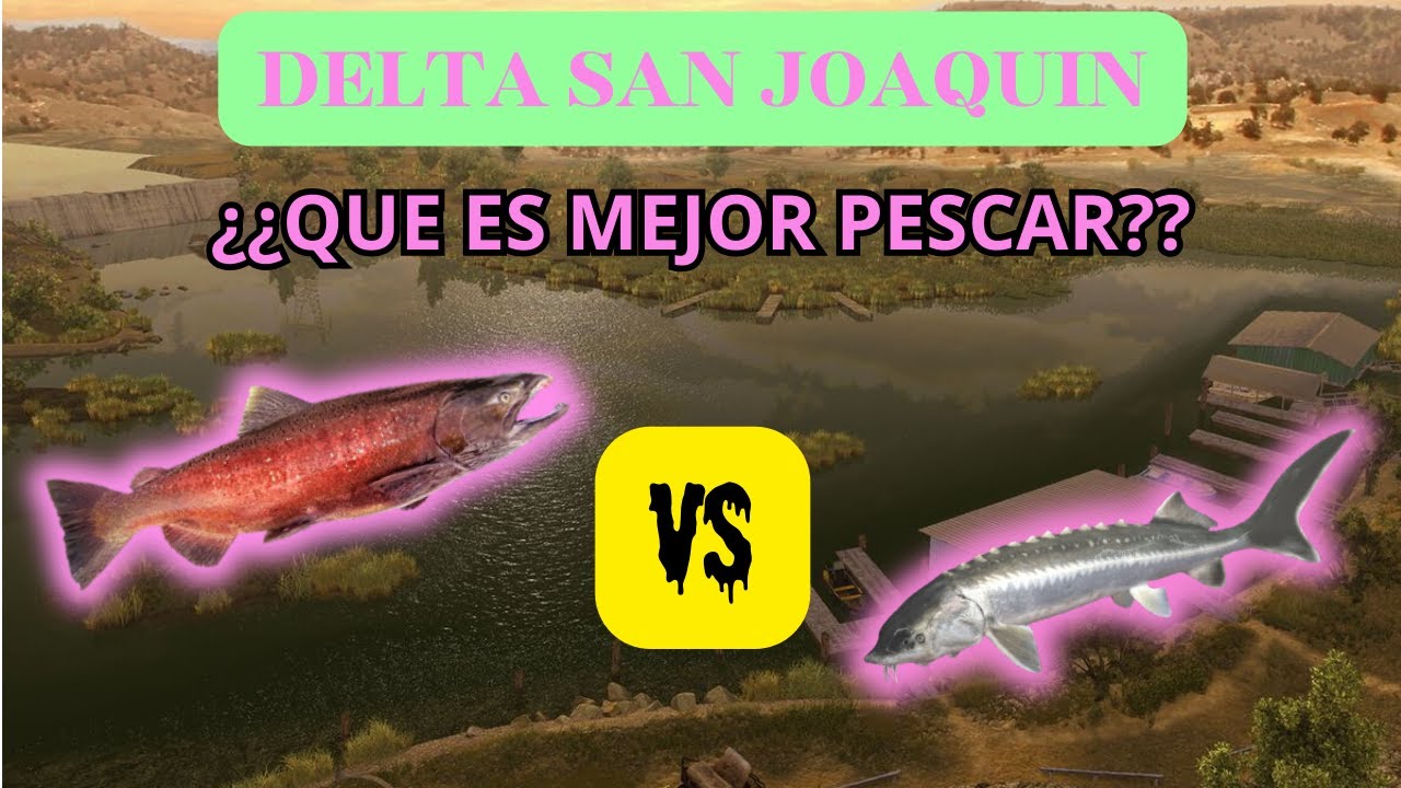 ⭐️DELTA SAN JOAQUIN FISHING PLANET⭐️🐋 ¿¿QUE ES MAS RENTABLE?? 🐋