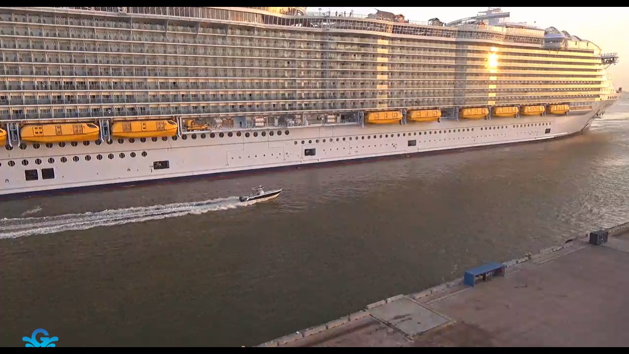 🔴 LIVE Galveston Cruise Ships | Carnival, Royal Caribbean, MSC, Disney & Norwegian