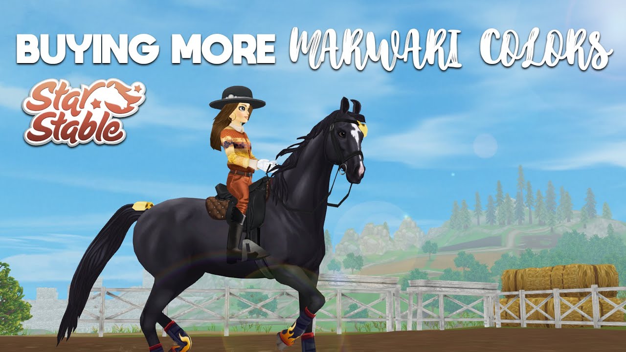 Buying More Marwari Colors - Star Stable 💥