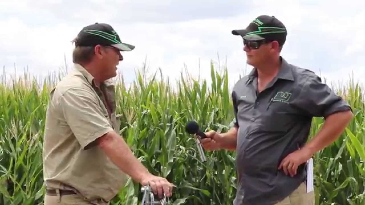 Padman Stops Automated Irrigation - Eliminate Syphons with our EDT