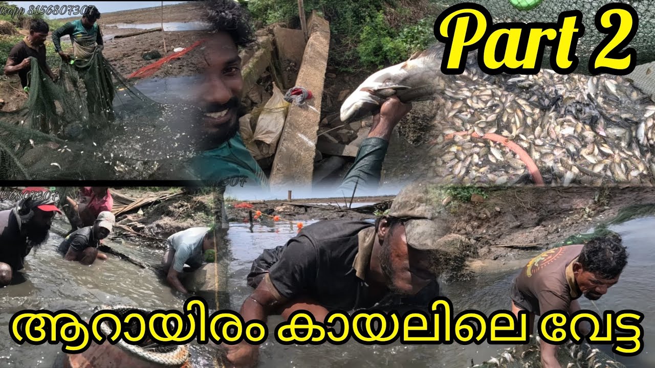 ആറായിരം കായലിലെ വേട്ട PART 2 | FISHINGVLOG | #realfishing #reallife