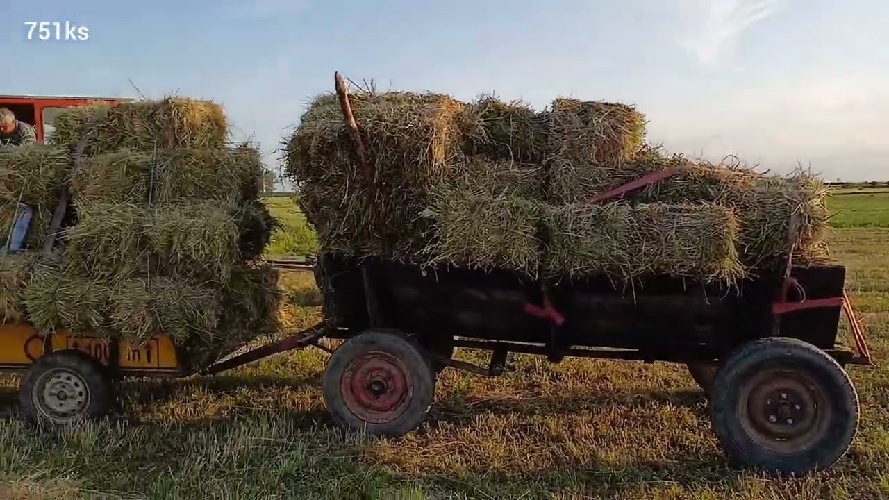 Ruris 751ks pus la căruță cu 50 de baloți