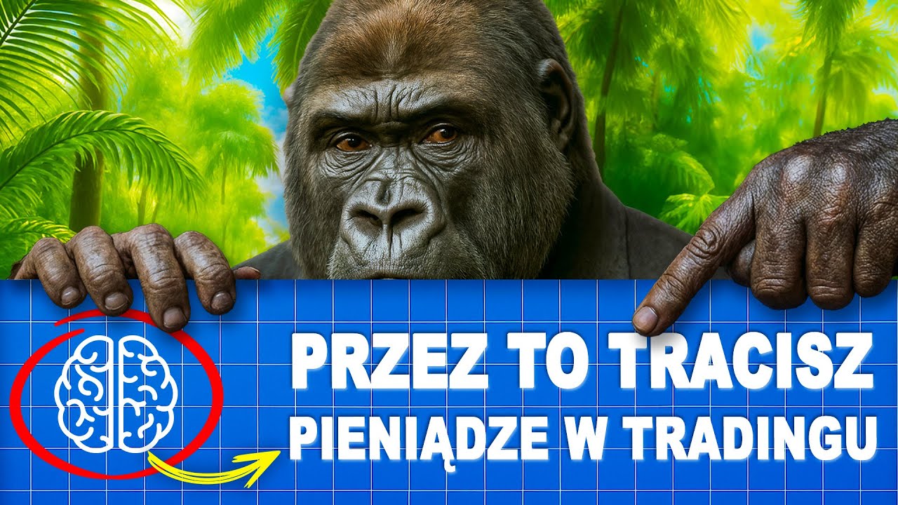 TEN DARMOWY KURS ZMIENI TWOJE PODEJŚCIE DO TRADINGU