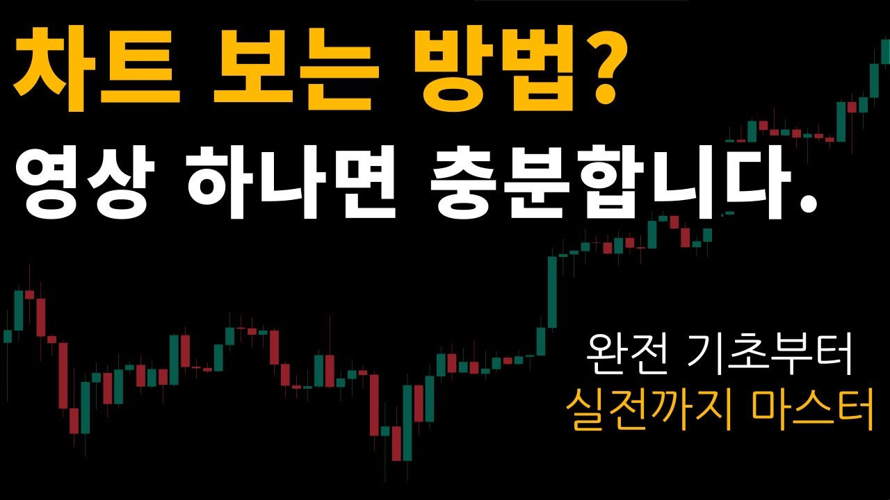 차트 보는 법 총정리 (기초부터 실전까지)